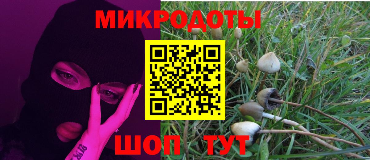 Галлюциногенные грибы прущие грибы  Вход с VPN  Клин 