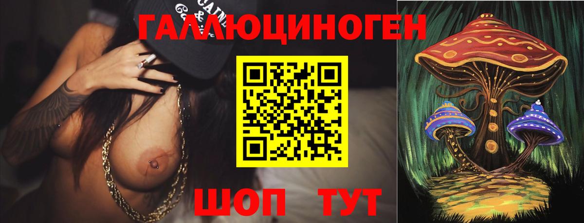 Галлюциногенные грибы Psilocybine cubensis Клин
